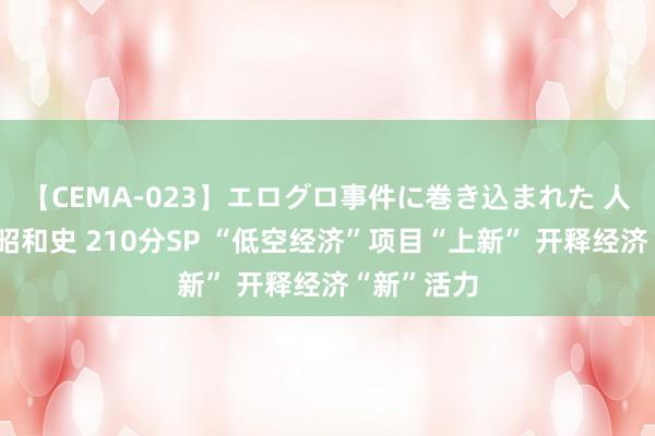 【CEMA-023】エログロ事件に巻き込まれた 人妻たちの昭和史 210分SP “低空经济”项目“上新” 开释经济“新”活力