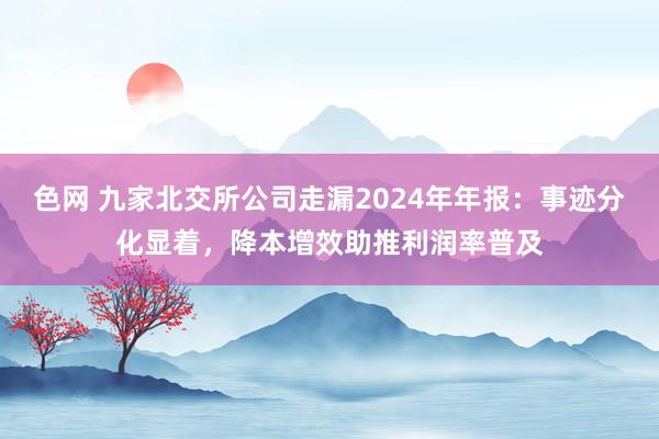 色网 九家北交所公司走漏2024年年报：事迹分化显着，降本增效助推利润率普及