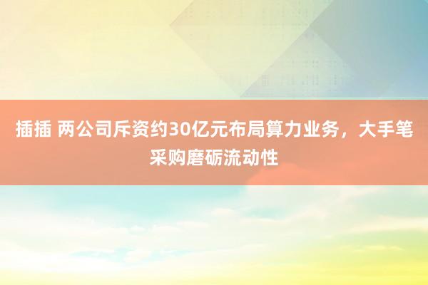 插插 两公司斥资约30亿元布局算力业务，大手笔采购磨砺流动性