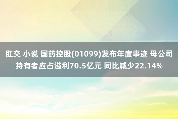 肛交 小说 国药控股(01099)发布年度事迹 母公司持有者应占溢利70.5亿元 同比减少22.14%