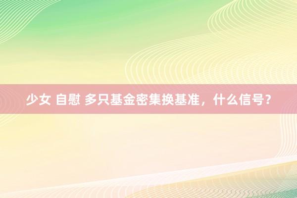 少女 自慰 多只基金密集换基准，什么信号？