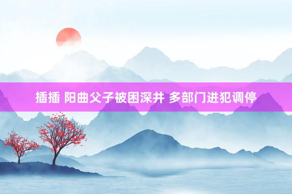 插插 阳曲父子被困深井 多部门进犯调停