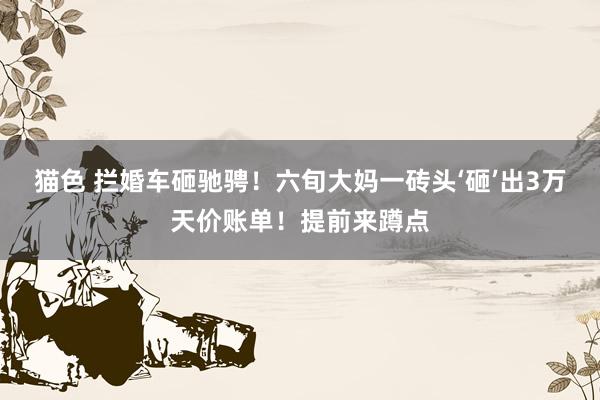猫色 拦婚车砸驰骋！六旬大妈一砖头‘砸’出3万天价账单！提前来蹲点