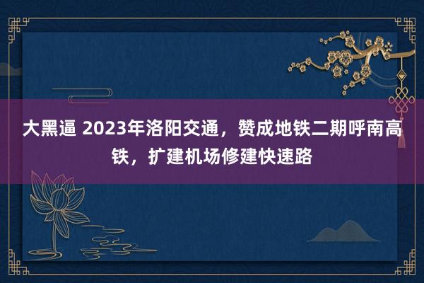 大黑逼 2023年洛阳交通，赞成地铁二期呼南高铁，扩建机场修建快速路
