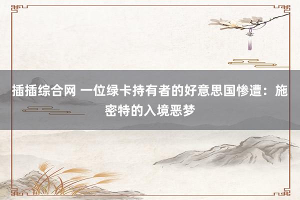 插插综合网 一位绿卡持有者的好意思国惨遭：施密特的入境恶梦