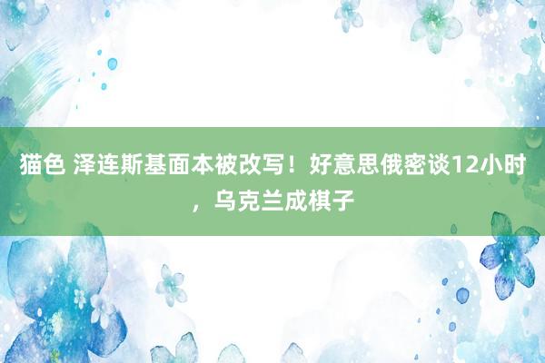 猫色 泽连斯基面本被改写！好意思俄密谈12小时，乌克兰成棋子
