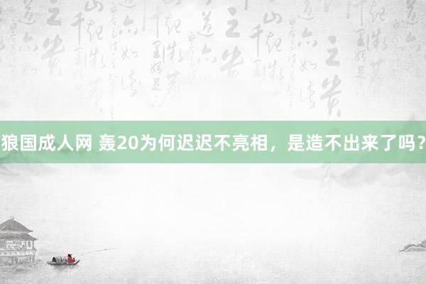 狼国成人网 轰20为何迟迟不亮相，是造不出来了吗？