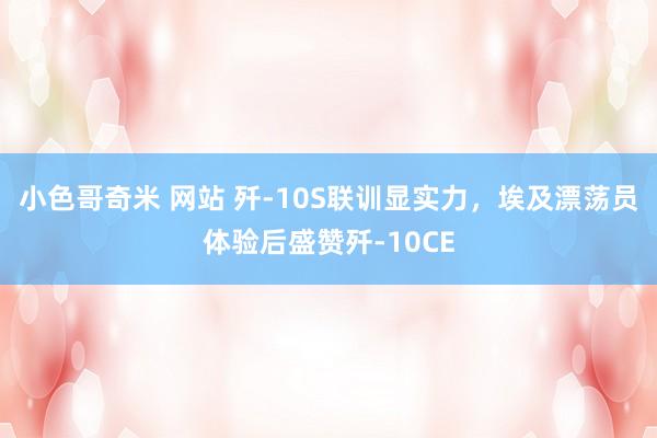 小色哥奇米 网站 歼-10S联训显实力，埃及漂荡员体验后盛赞歼-10CE
