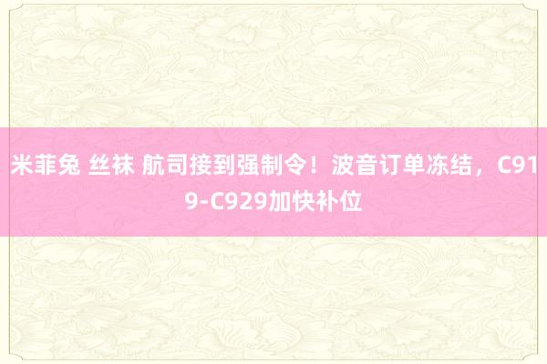 米菲兔 丝袜 航司接到强制令！波音订单冻结，C919-C929加快补位