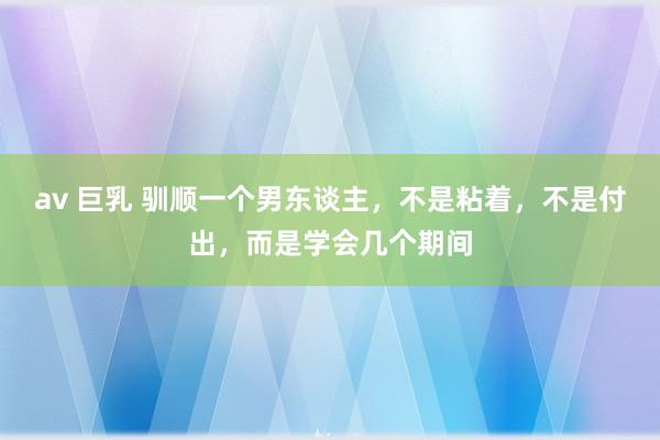 av 巨乳 驯顺一个男东谈主，不是粘着，不是付出，而是学会几个期间