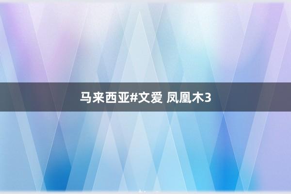 马来西亚#文爱 凤凰木3