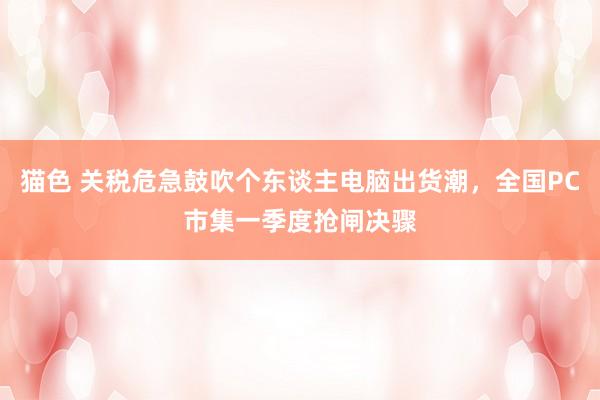 猫色 关税危急鼓吹个东谈主电脑出货潮，全国PC市集一季度抢闸决骤