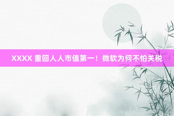 XXXX 重回人人市值第一！微软为何不怕关税